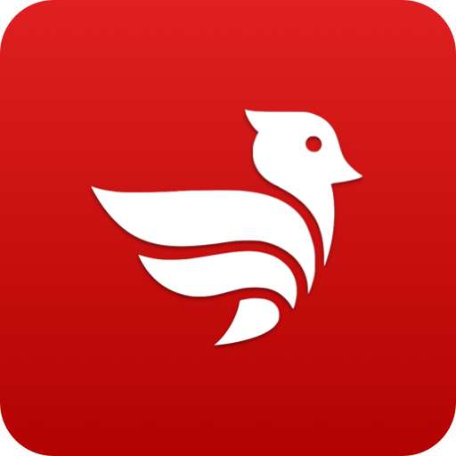 VPN Drop - Safe & Powerful VPN